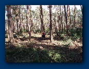 Believe it or not, that's Mark Coventry